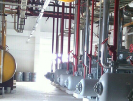 Doanh nghiệp hiến kế cách vận chuyển cây quái thú hợp pháp